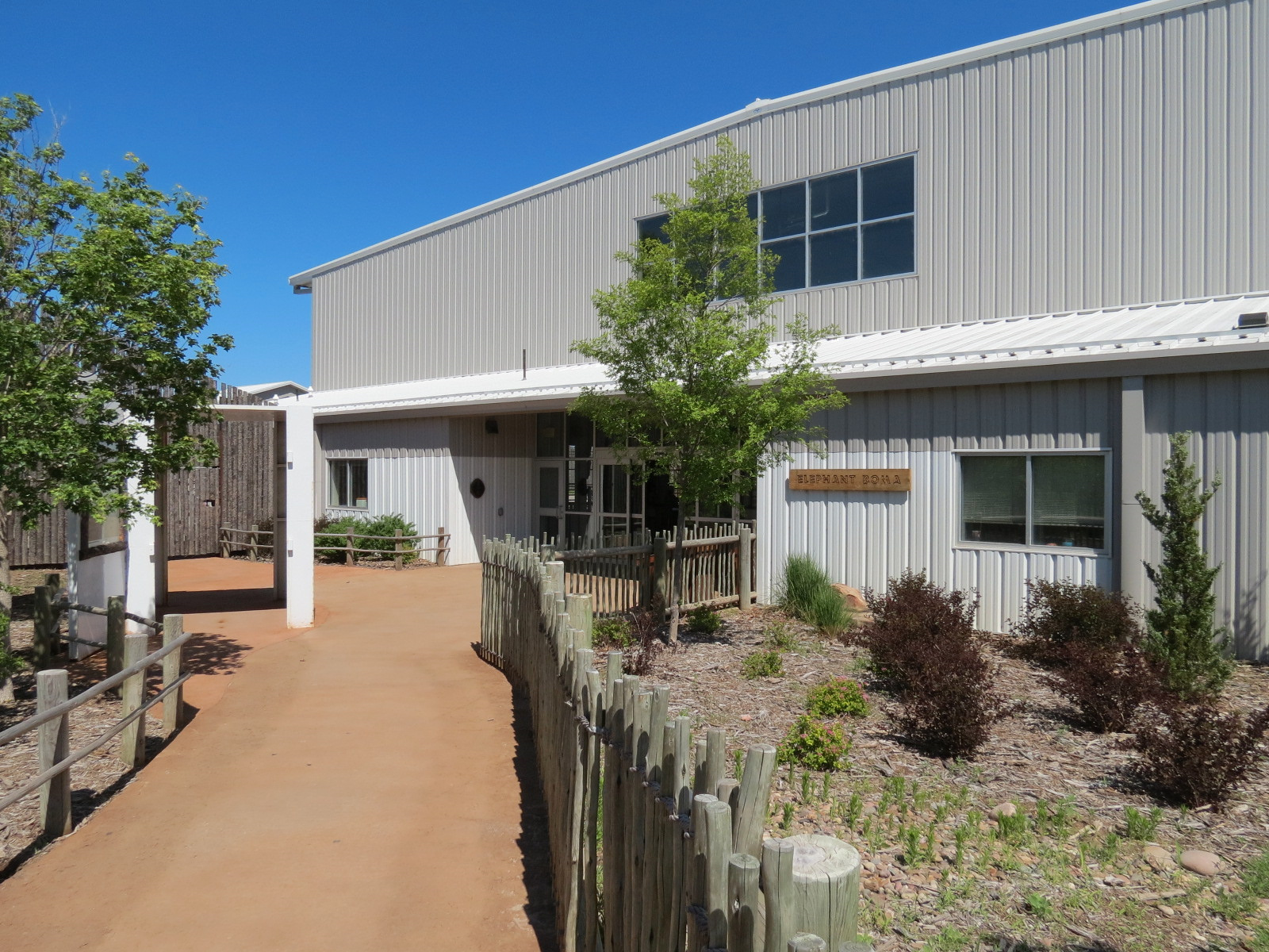 Elephants of the Zambezi River Valley - Barn