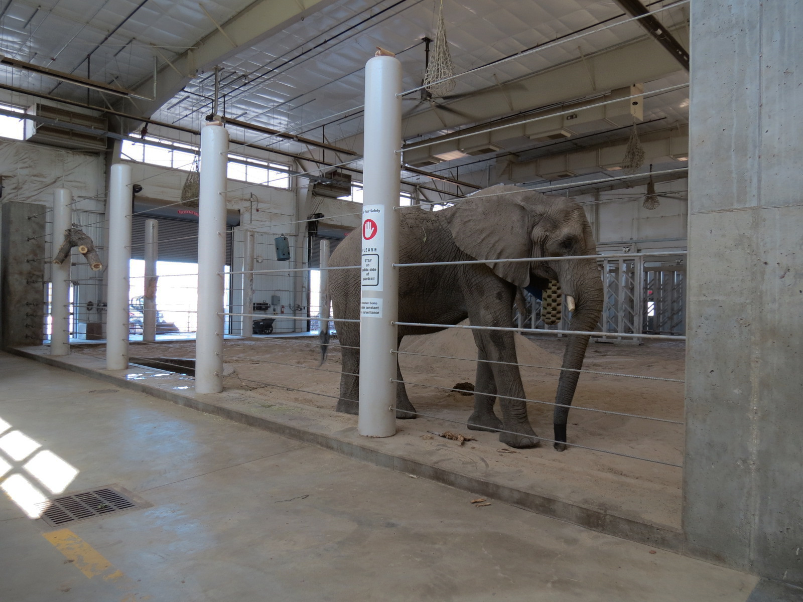 Elephants of the Zambezi River Valley - Barn