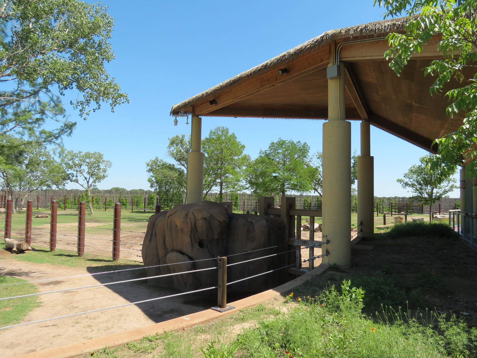Elephants of the Zambezi River Valley - Camp Zambezi Viewing Shelter