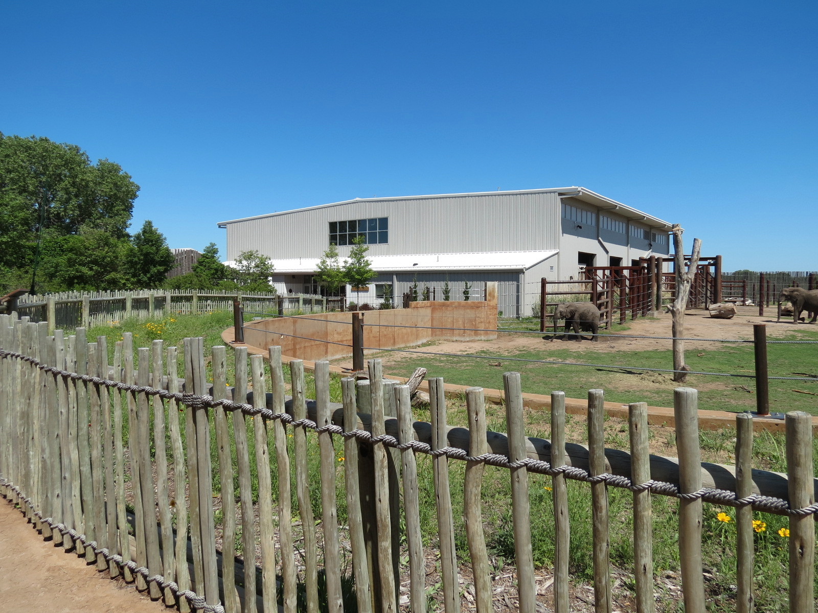 Elephants of the Zambezi River Valley - Yard 1