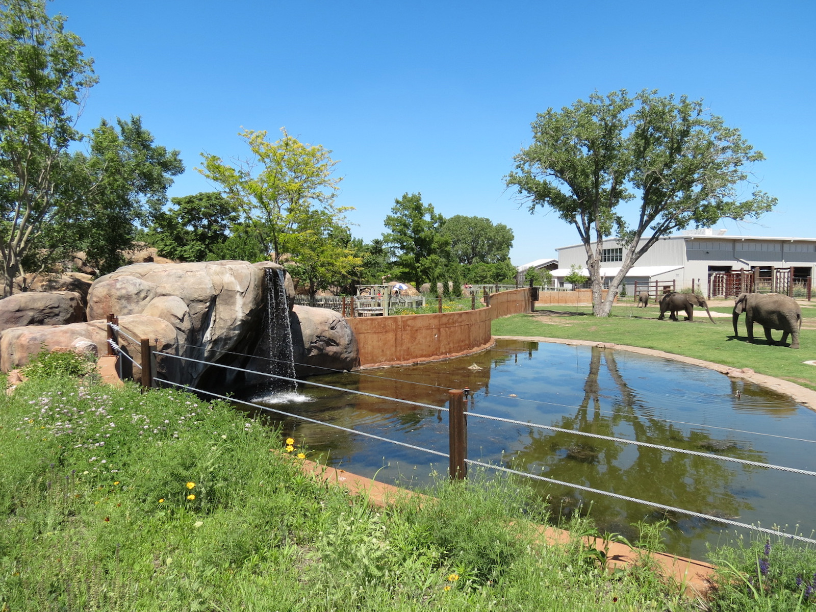 Elephants of the Zambezi River Valley - Yard 1
