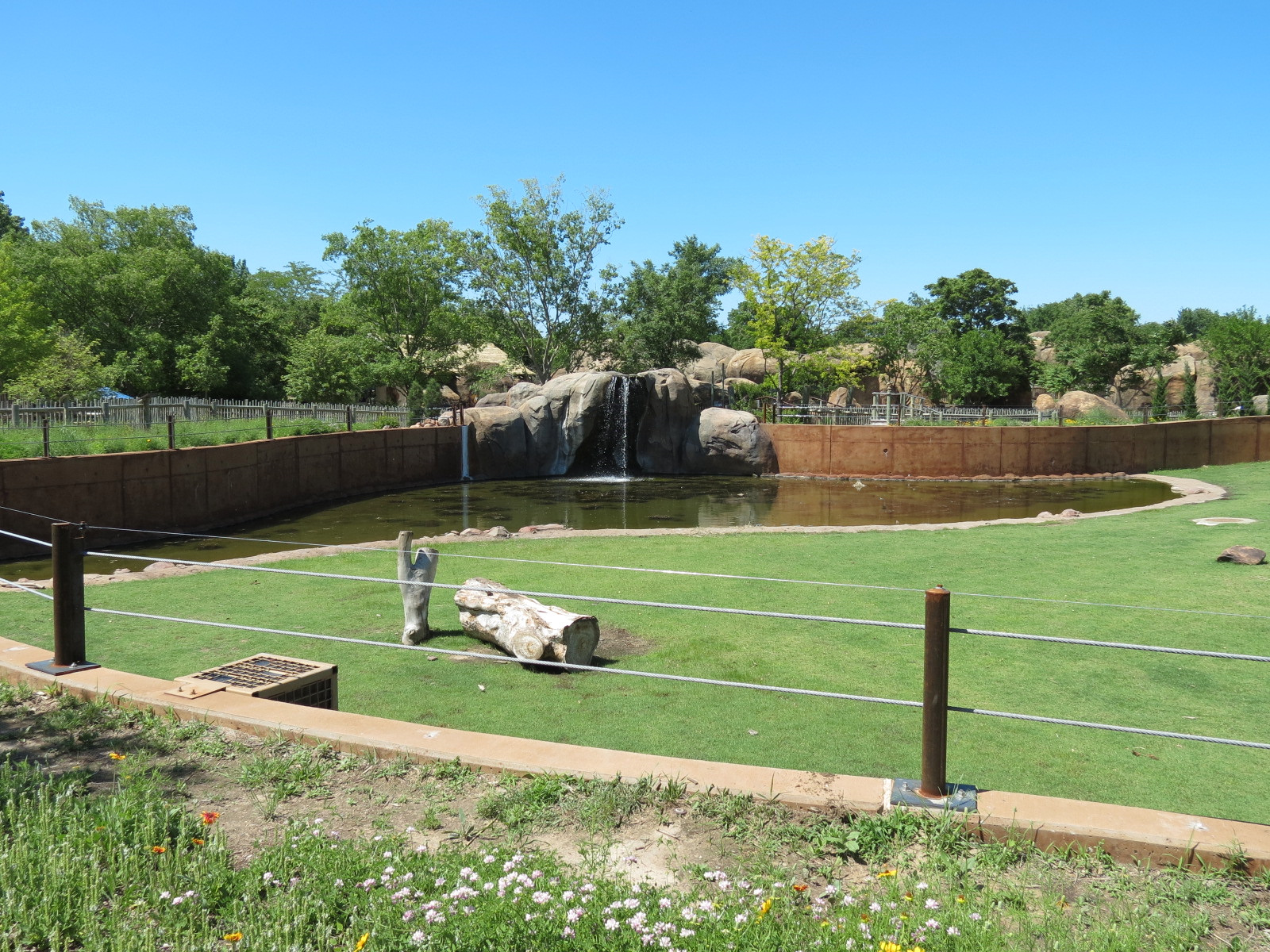 Elephants of the Zambezi River Valley - Yard 1