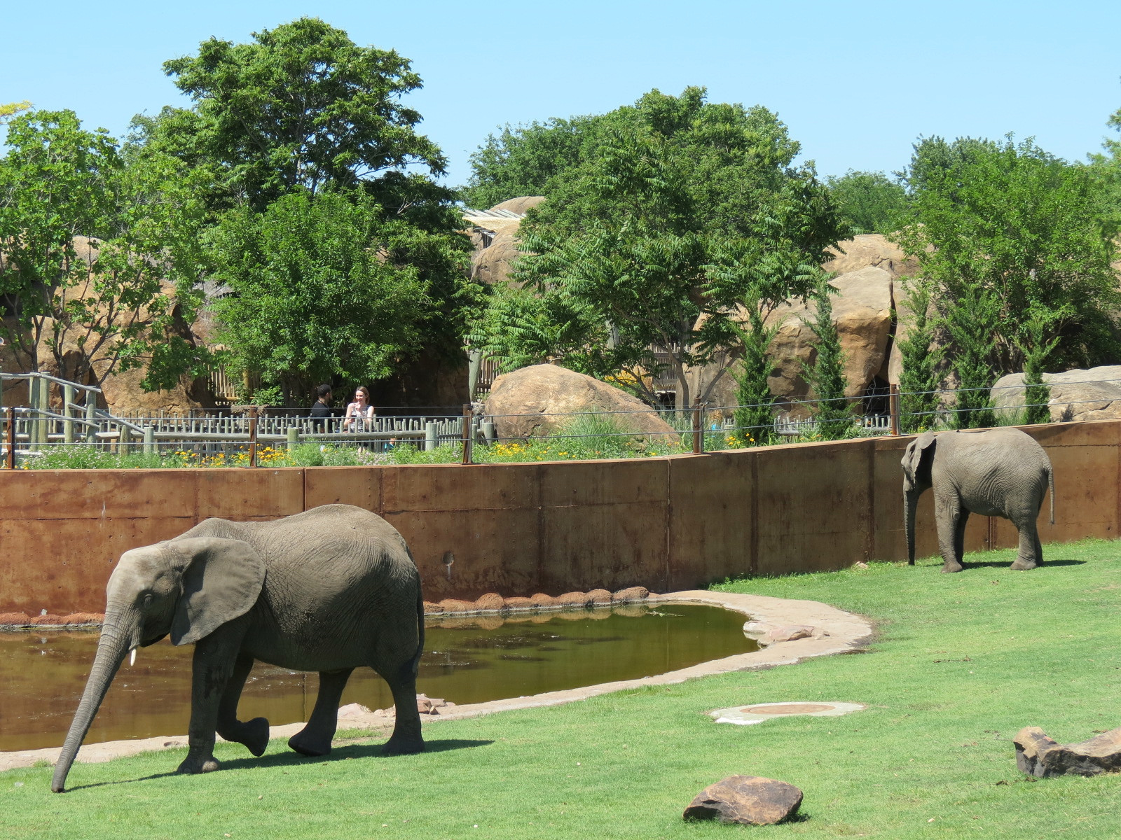 Elephants of the Zambezi River Valley - Yard 1