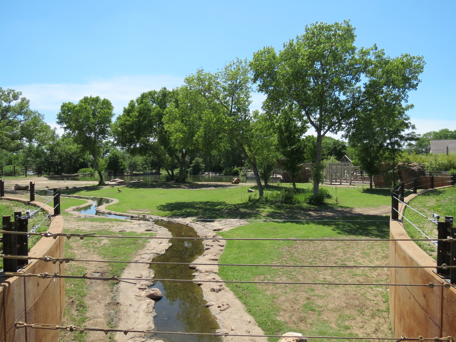 Elephants of the Zambezi River Valley - Yard 2