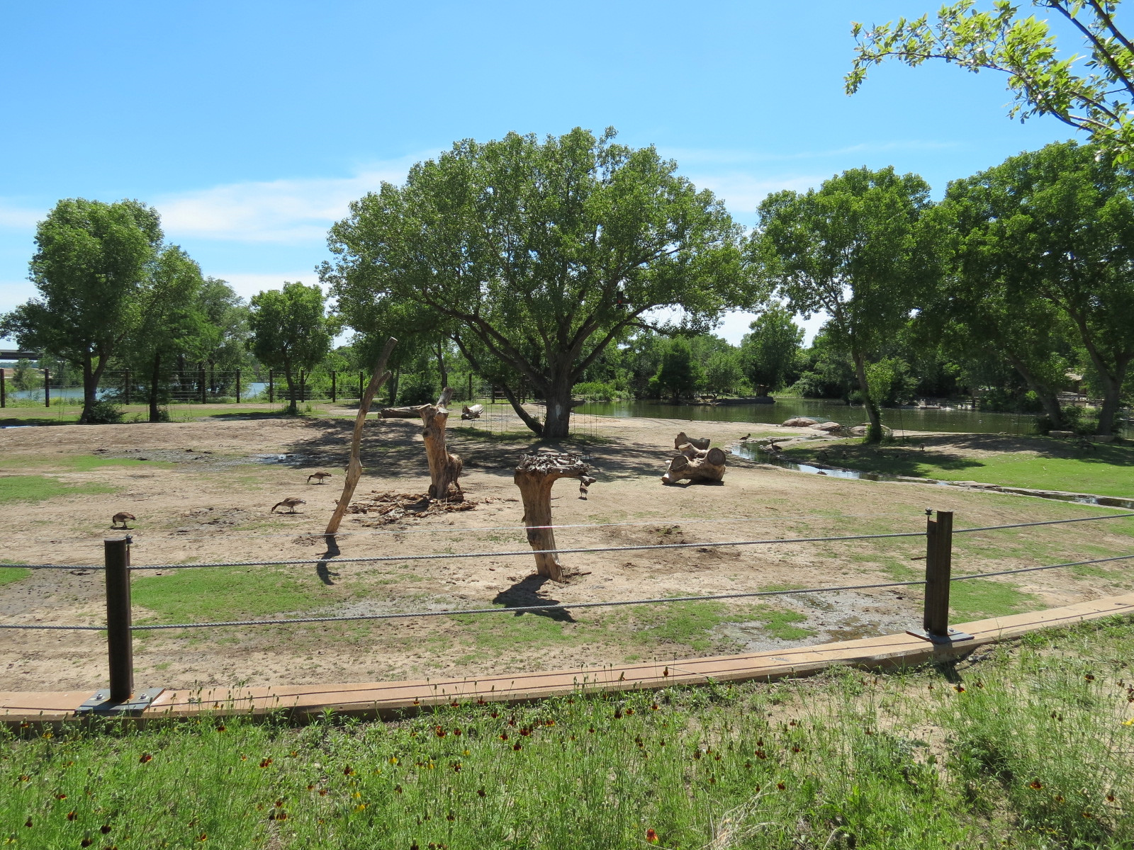 Elephants of the Zambezi River Valley - Yard 2
