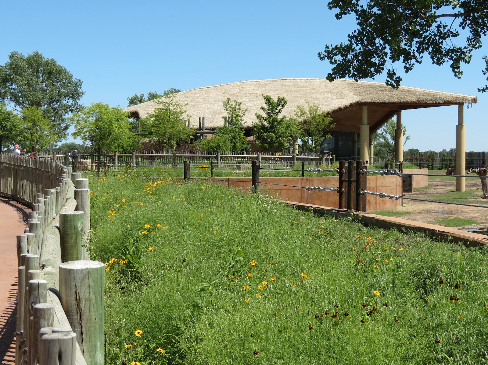 Elephants of the Zambezi River Valley - Yard 2