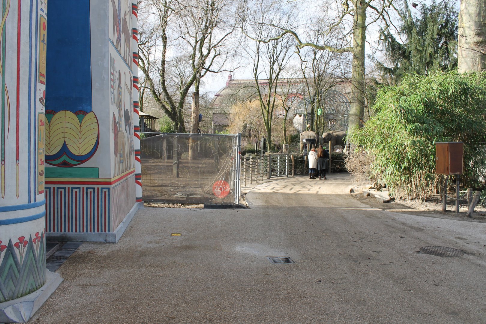 Elephants outdoor-enclosure