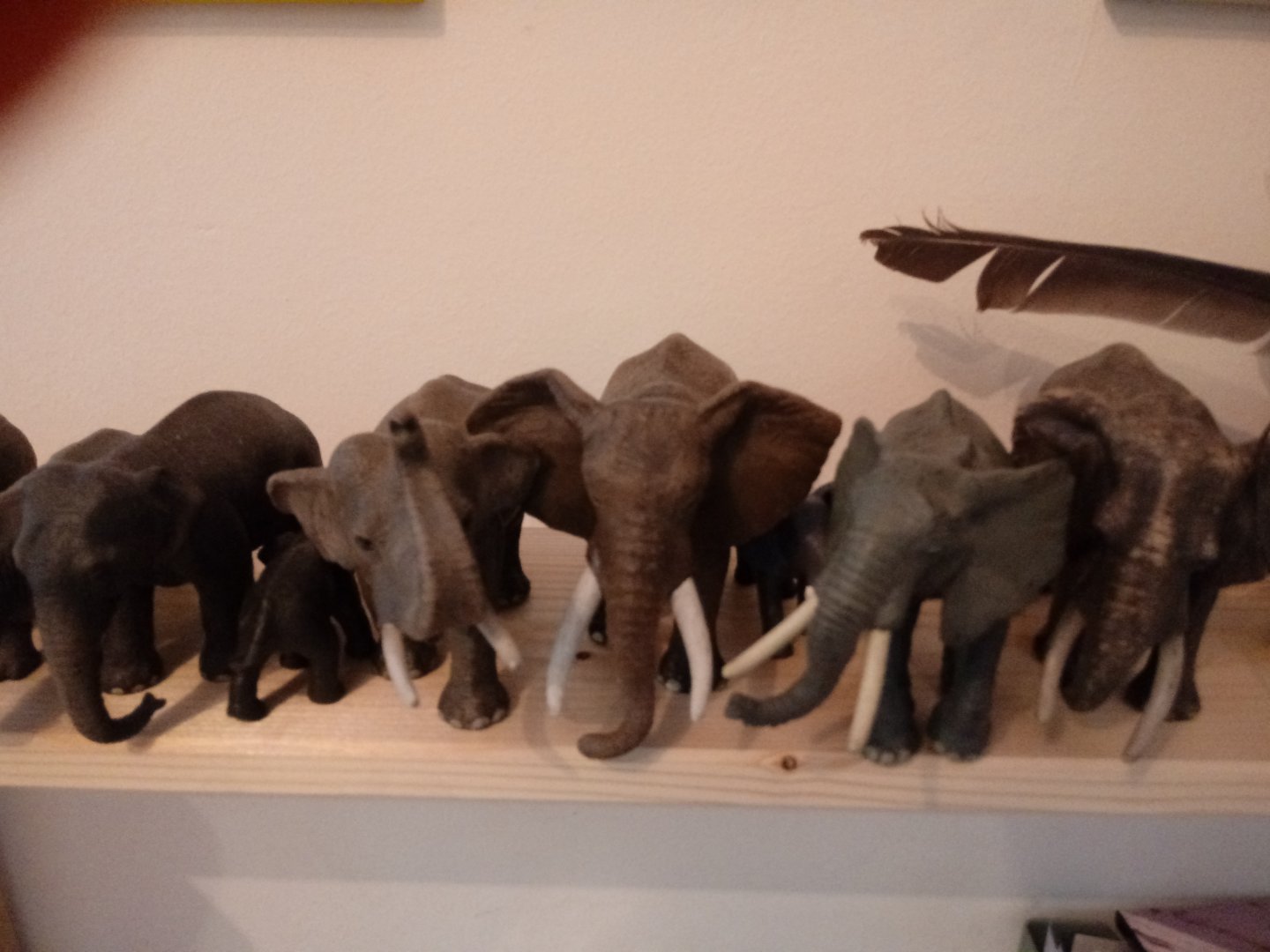 Elephants