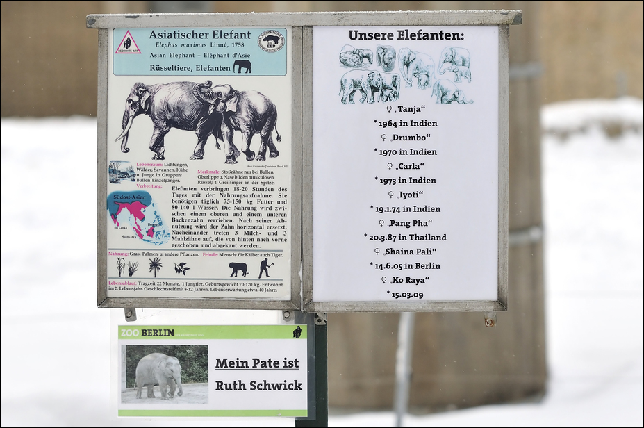 Elephantsign at Berlin Zoo