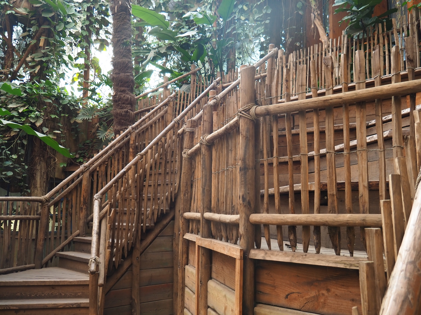 Elevated elephant viewing area