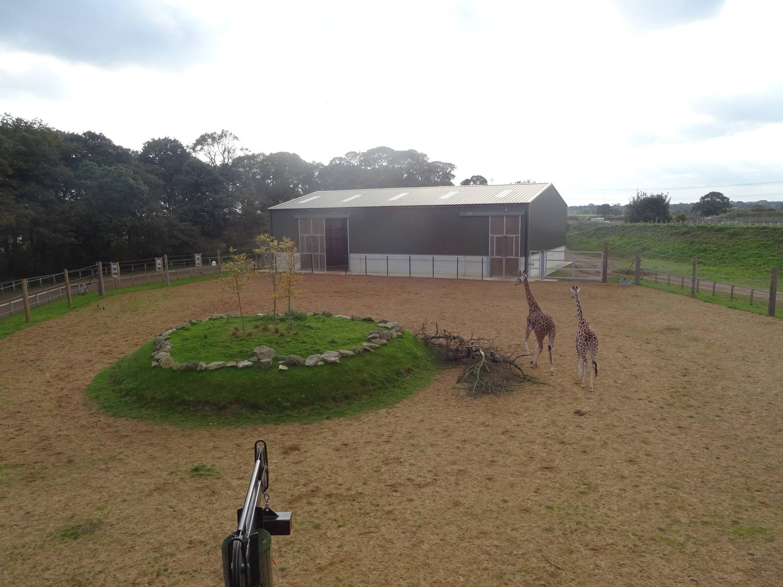 Elevated View of the Giraffe Exhibit at Yorkshire Wildlife Park