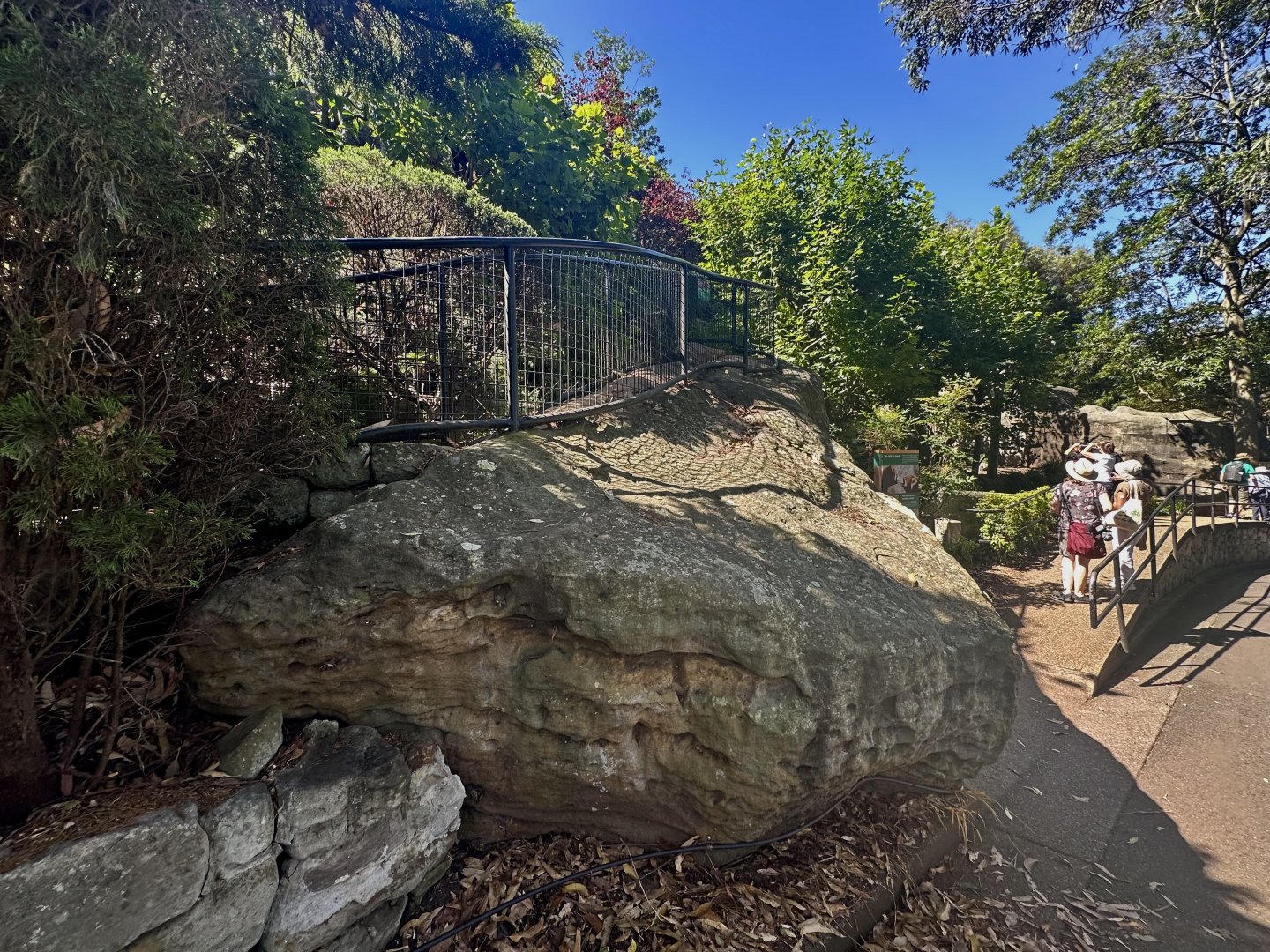 Elevated View Point - Nepalese Red Panda Exhibit