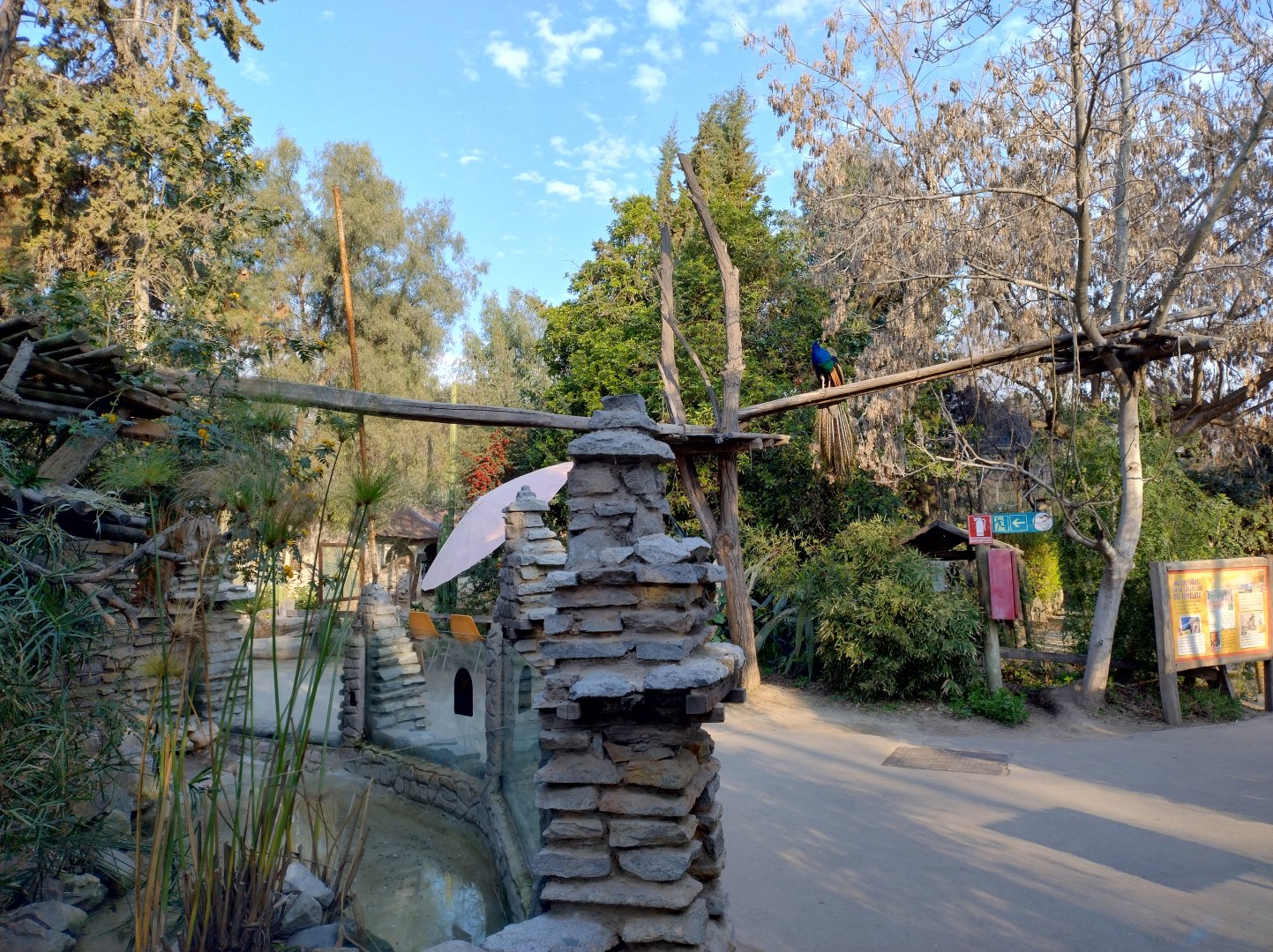 Elevated walkway for red panda - Buin zoo