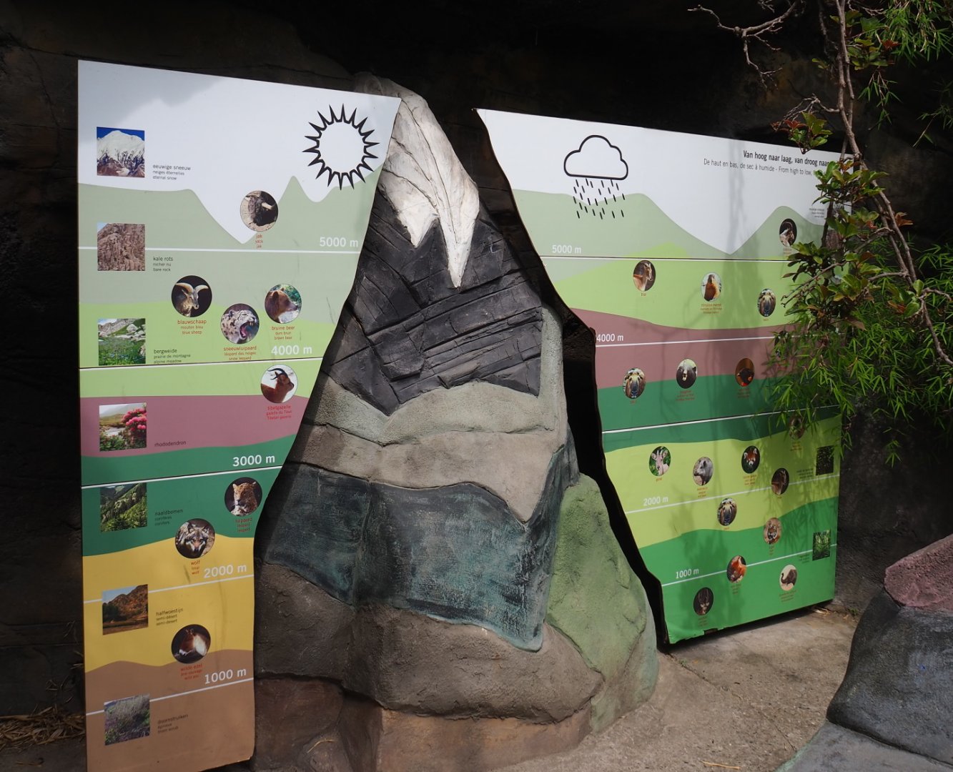 Elevation and habitat zones in the Himalayas educational display, 2021-06-12