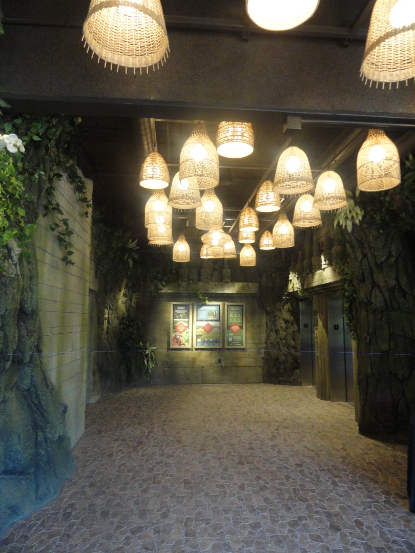 Elevator Lower Level Corridor