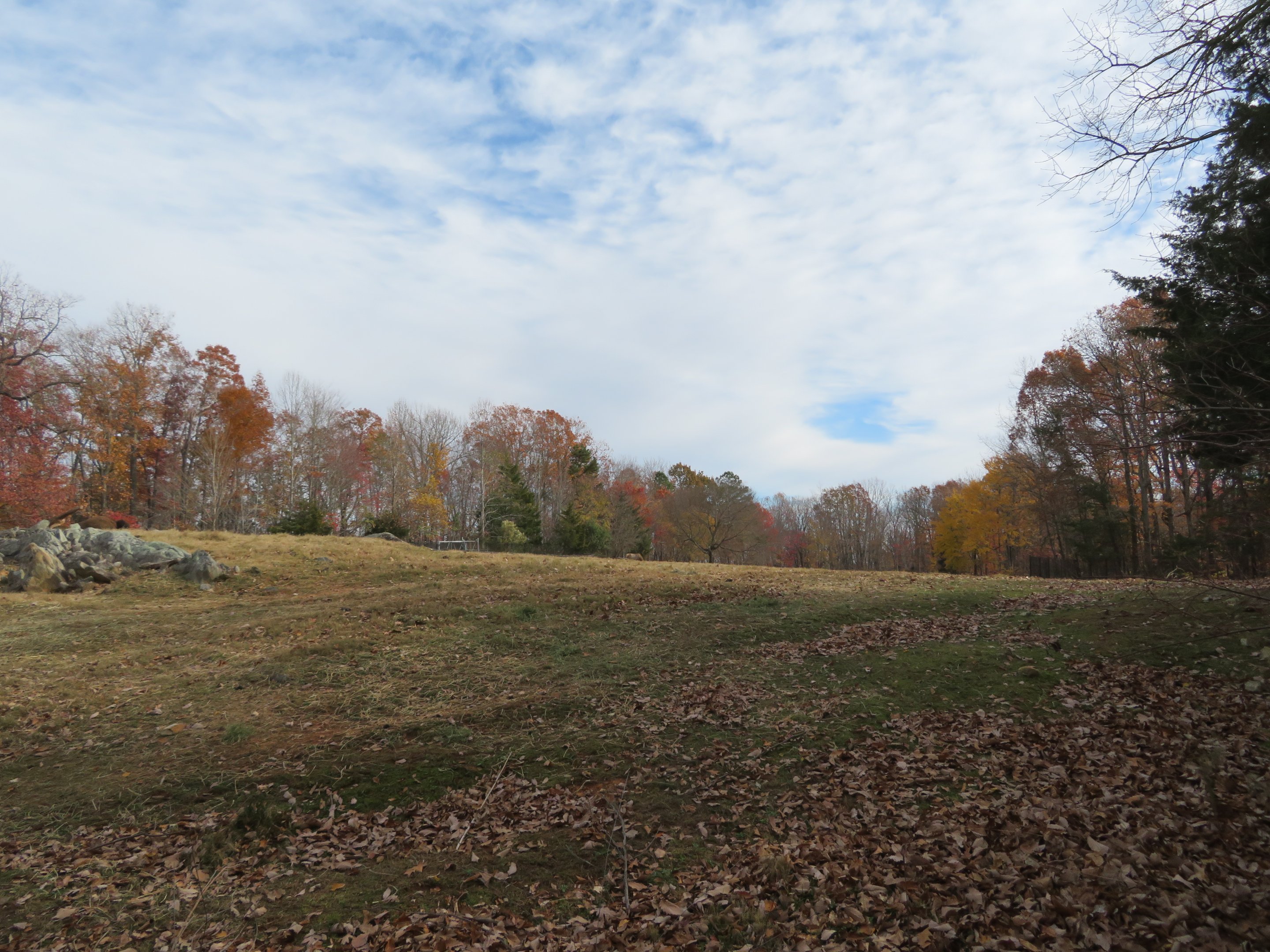 Elk/American Bison Yard