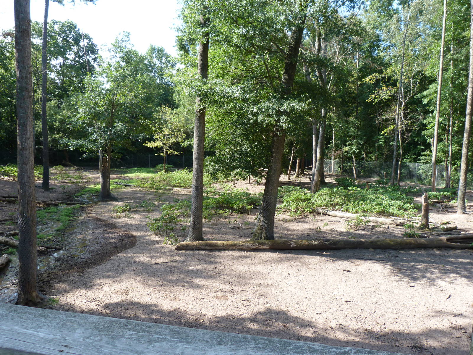 Elk Exhibit - August 2014