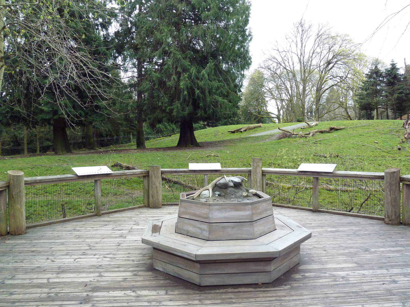 Elk Exhibit - Boardwalk Viewing Area