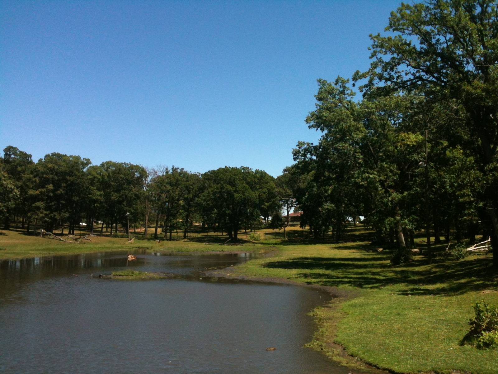 Elk Exhibit- June 2012