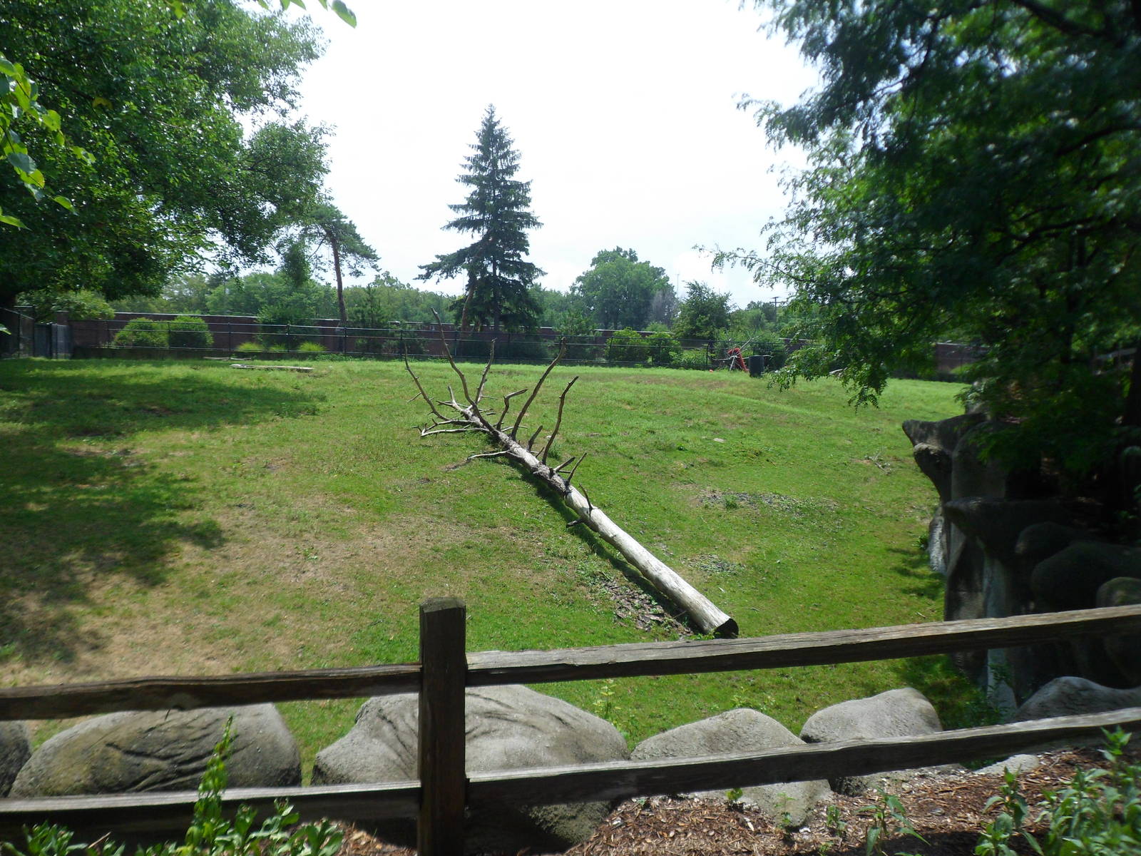Elk Exhibit