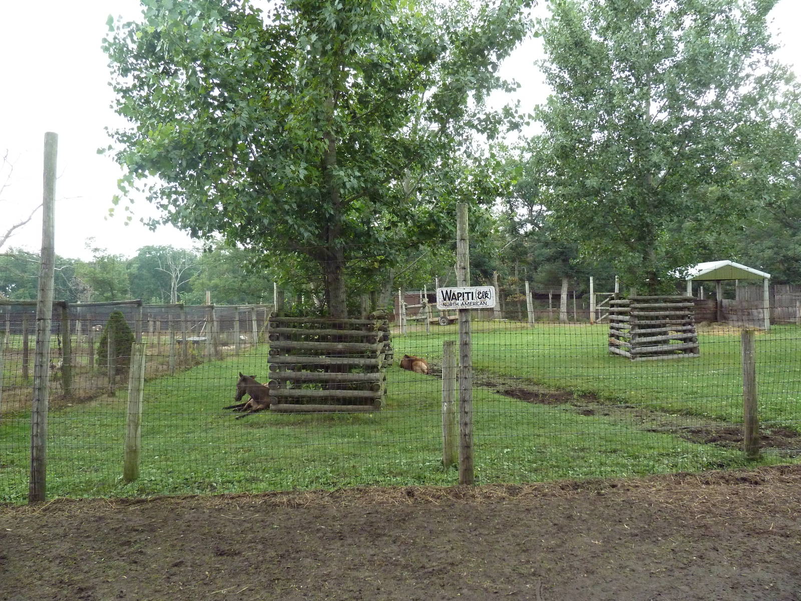 Elk Exhibit