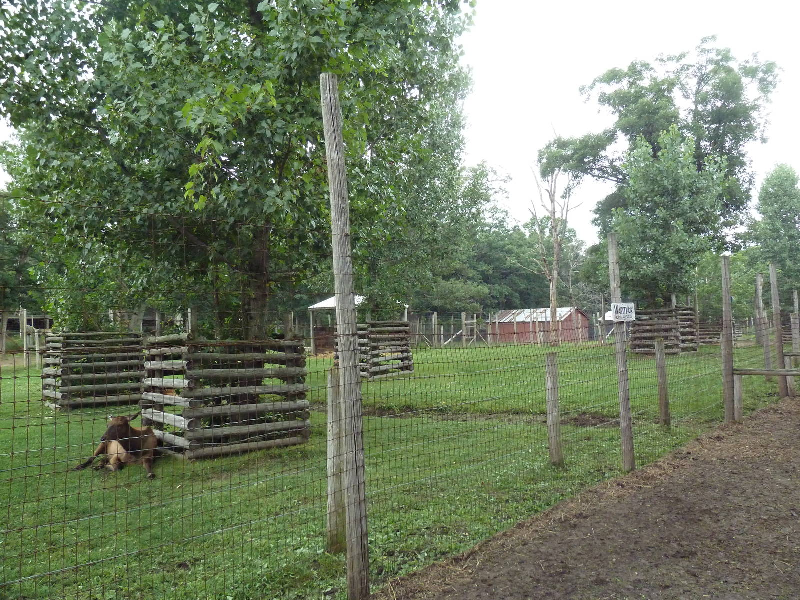 Elk Exhibit