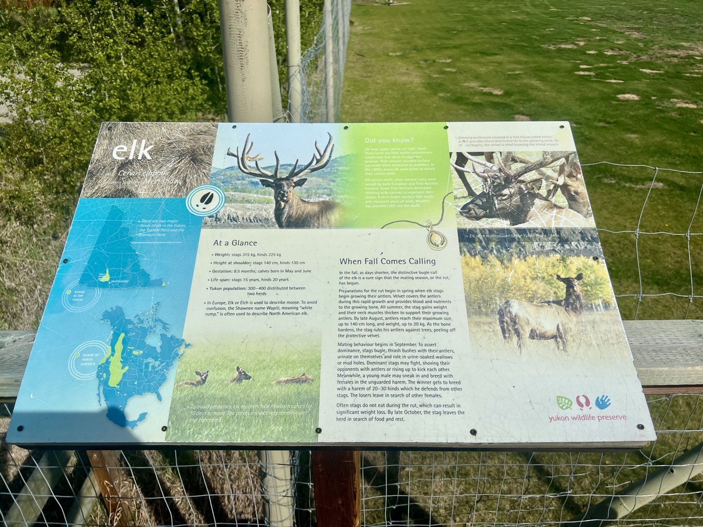 Elk Information Sign