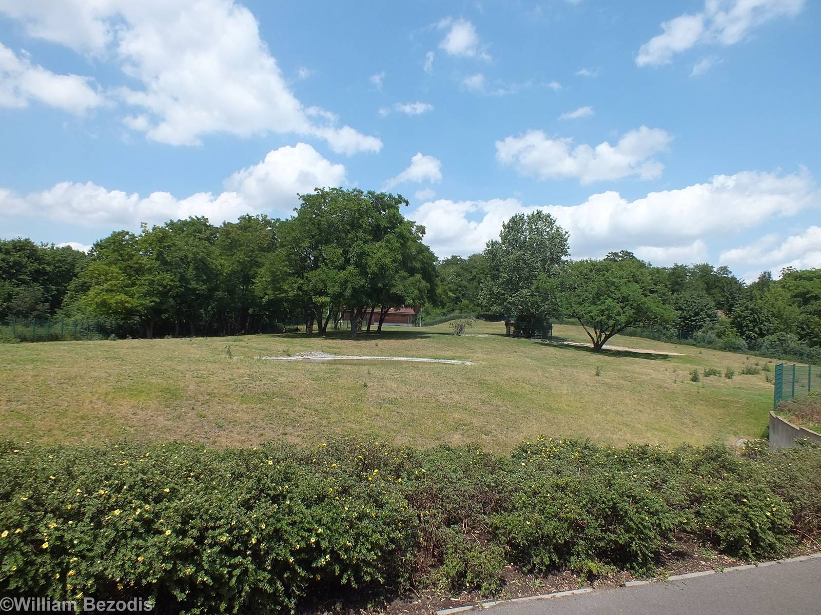 Elk (Moose) Enclosure