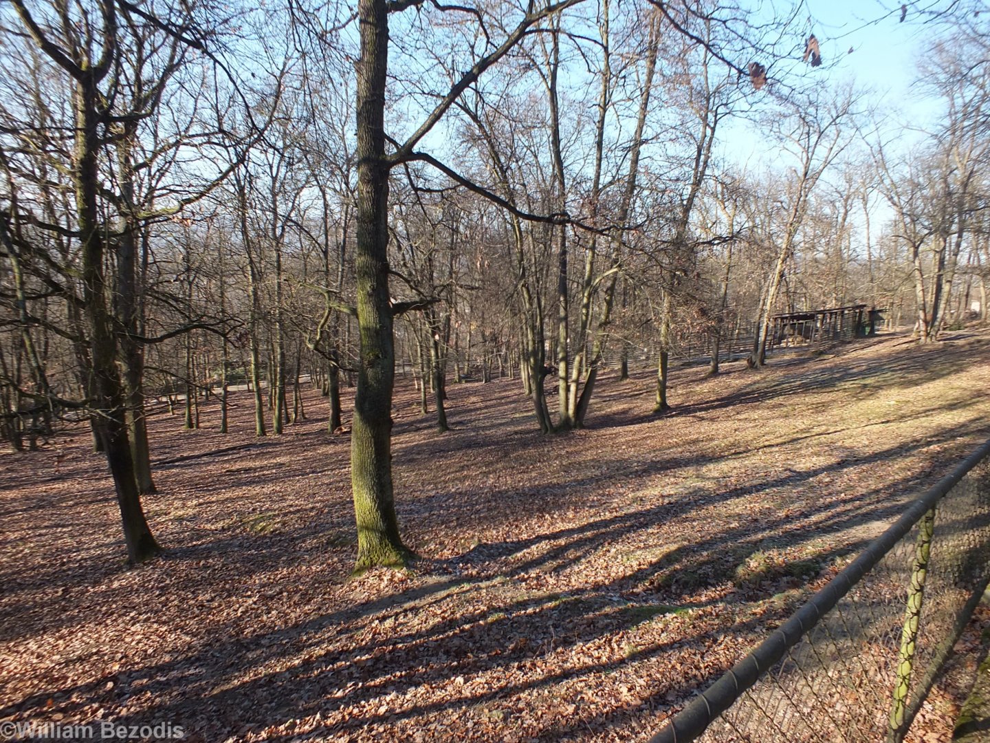 Elk (Moose) Enclosure