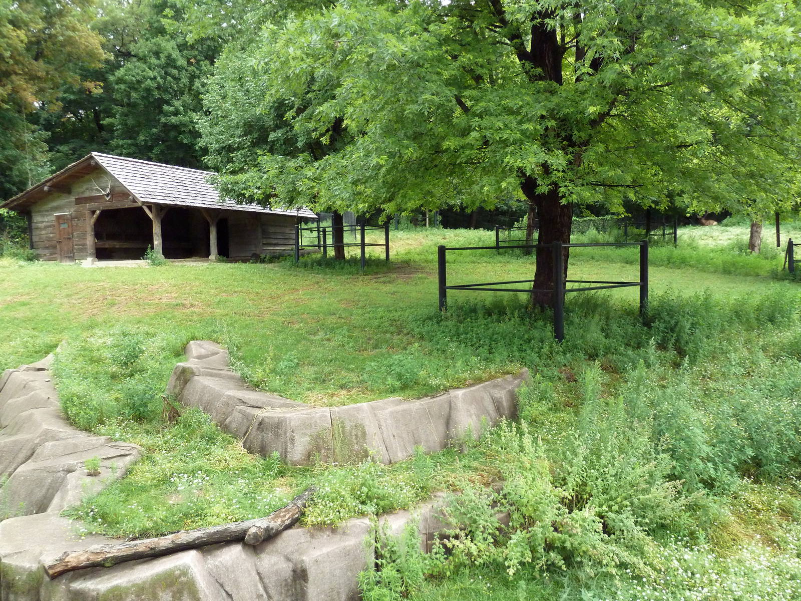 Elk/Sandhill Crane Exhibit