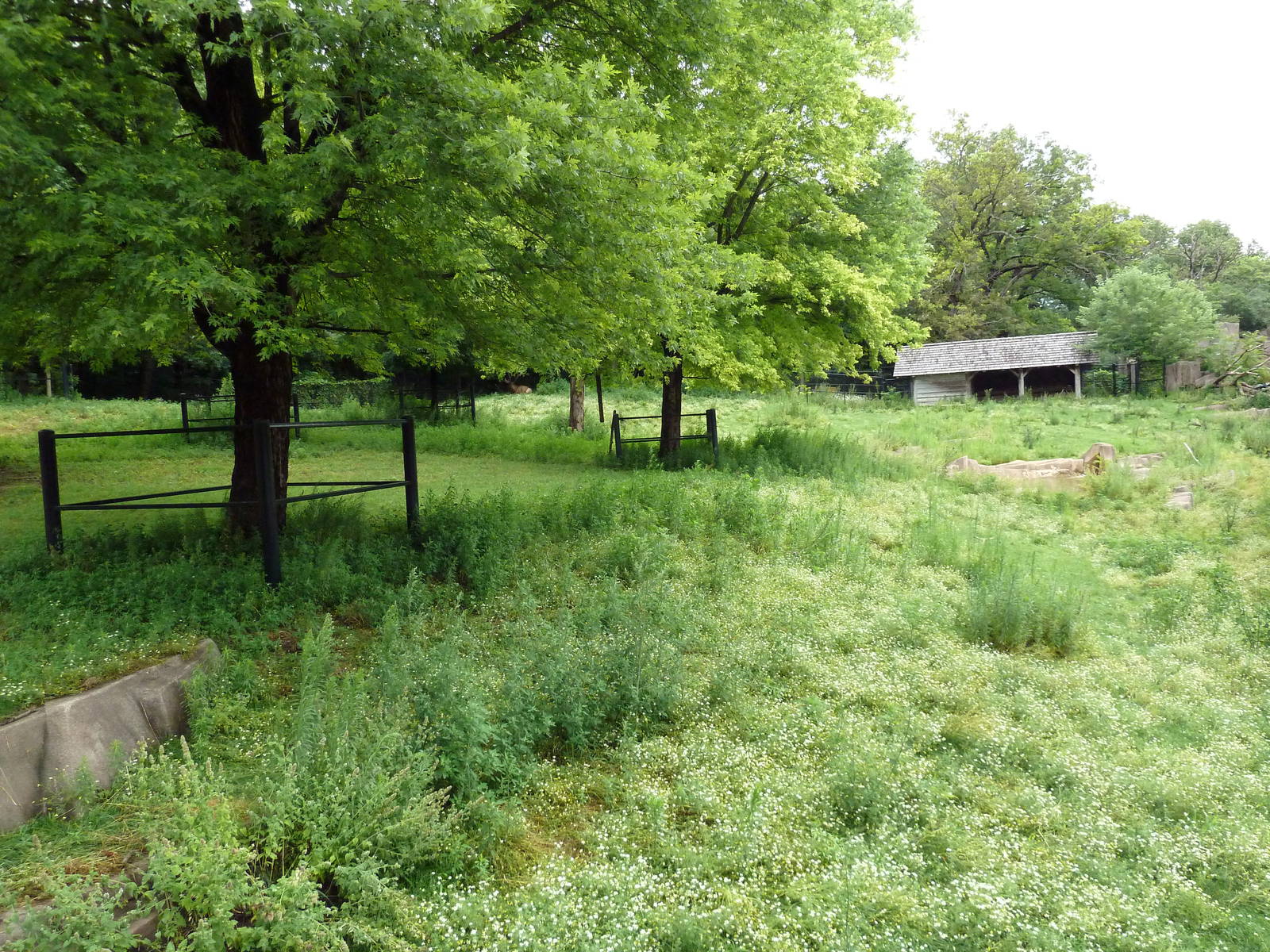 Elk/Sandhill Crane Exhibit