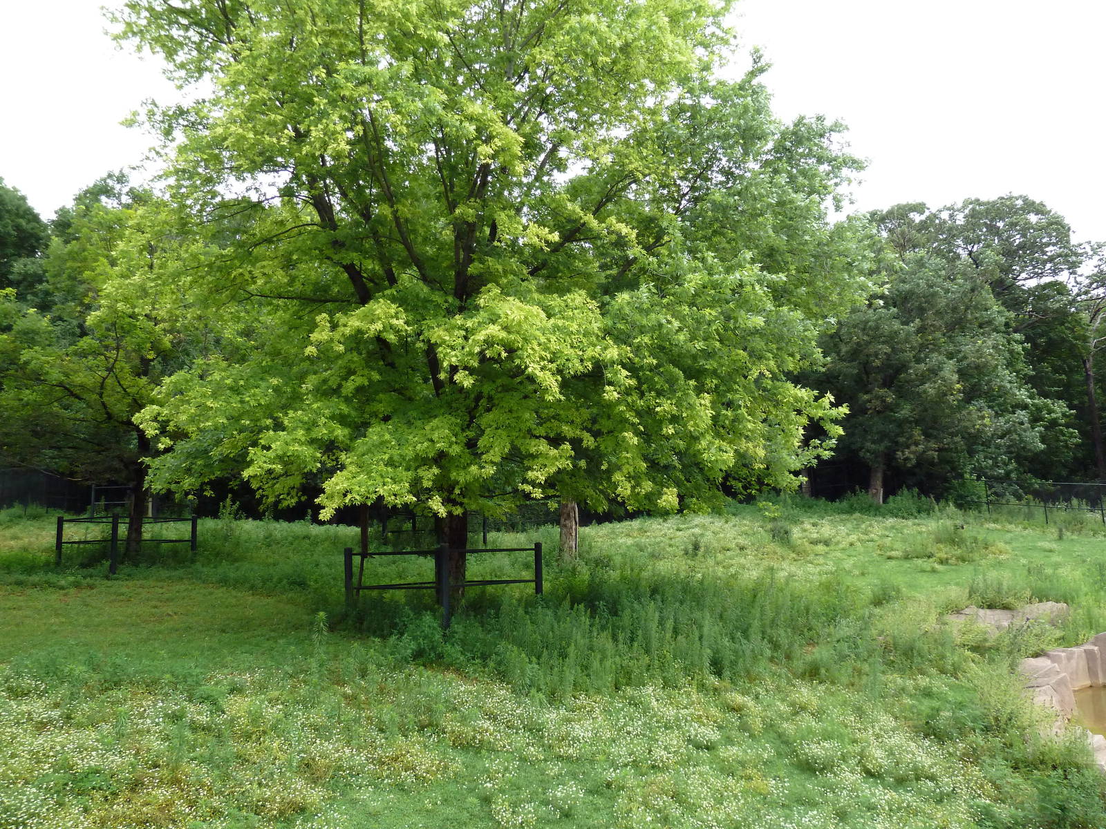 Elk/Sandhill Crane Exhibit