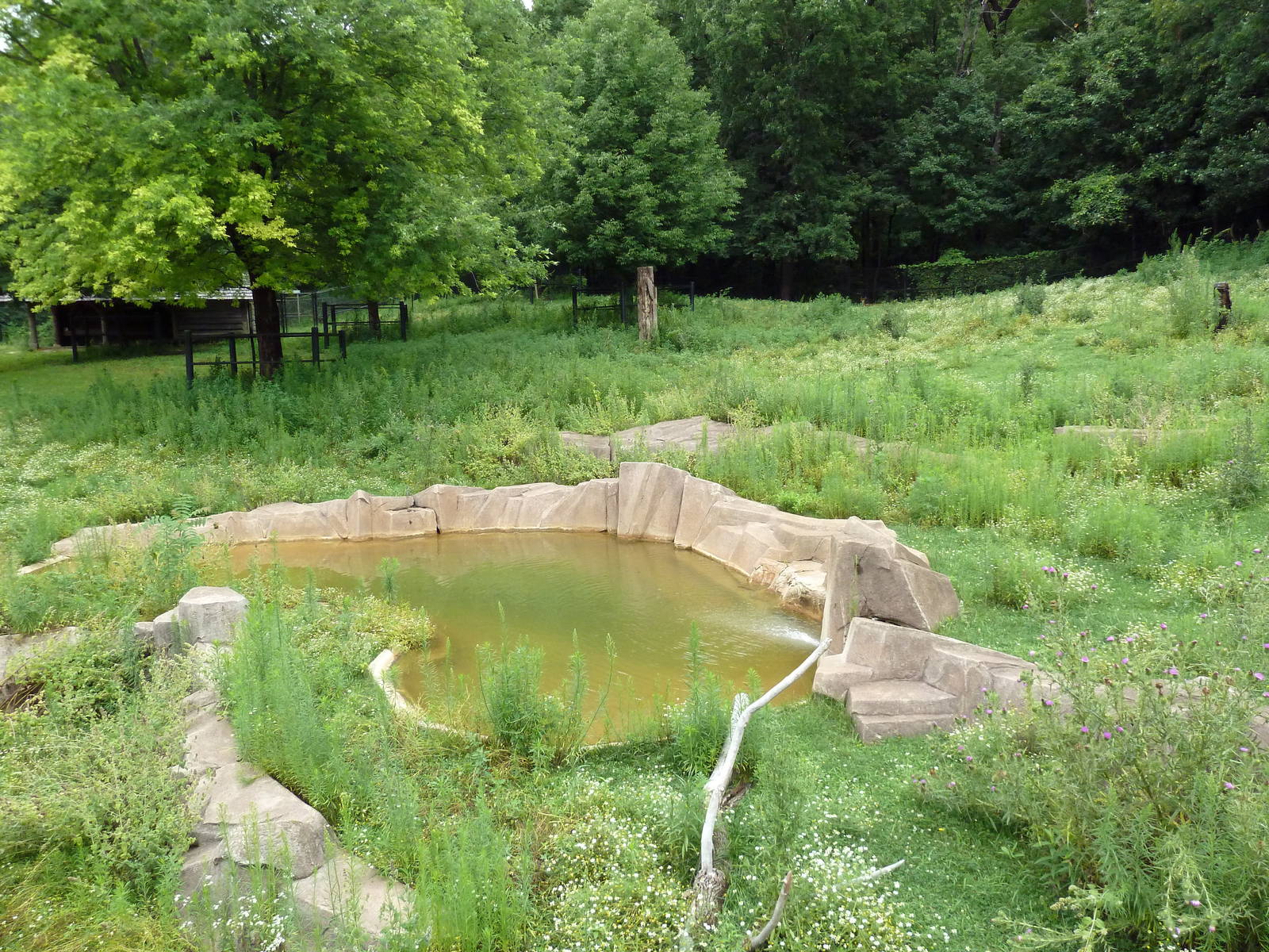 Elk/Sandhill Crane Exhibit