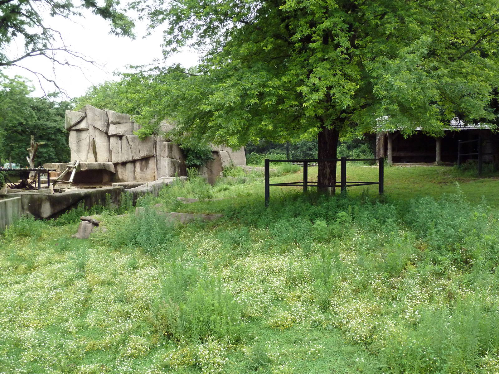 Elk/Sandhill Crane + Grizzly Bear Exhibits