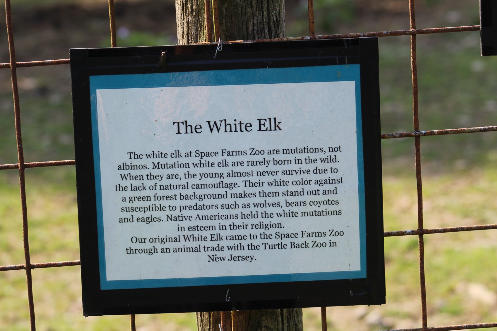 Elk Signage