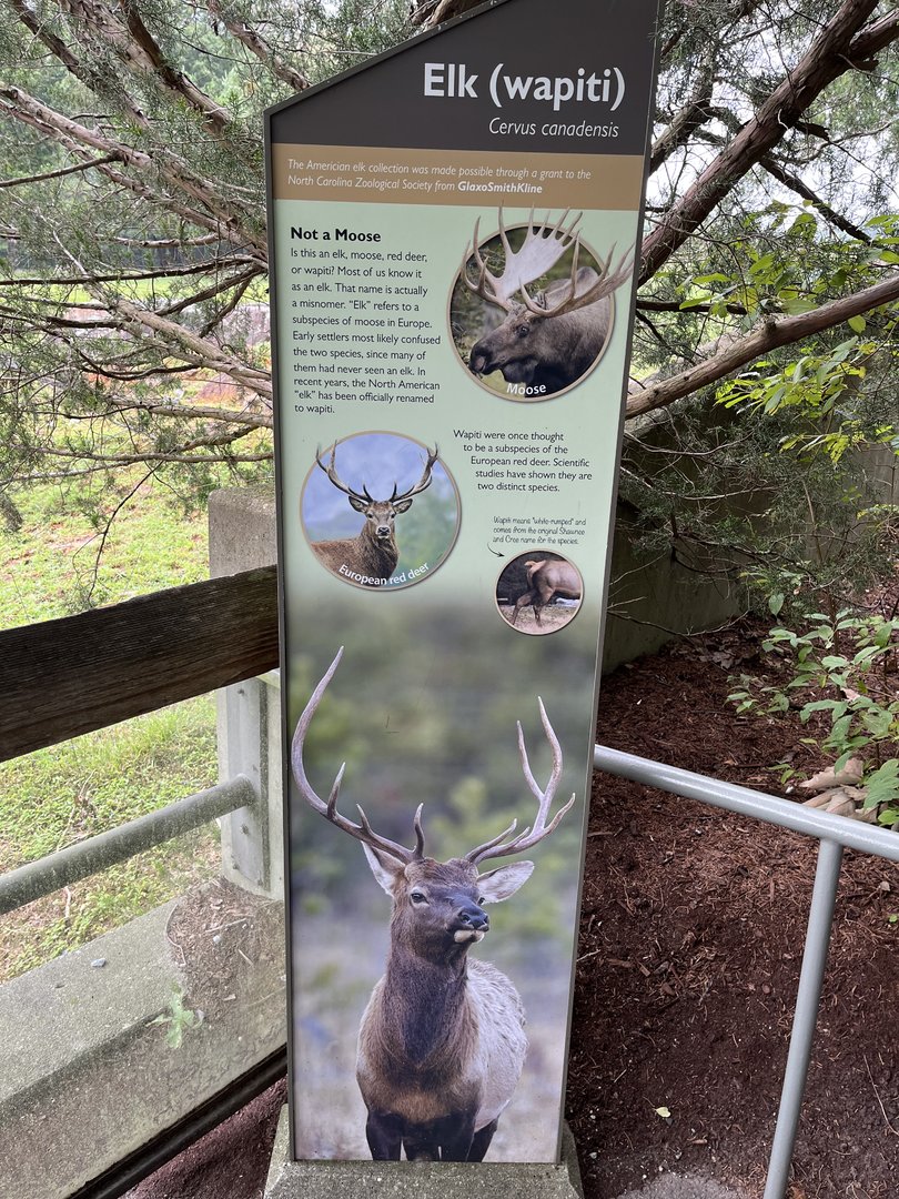 Elk vs Wapiti sign