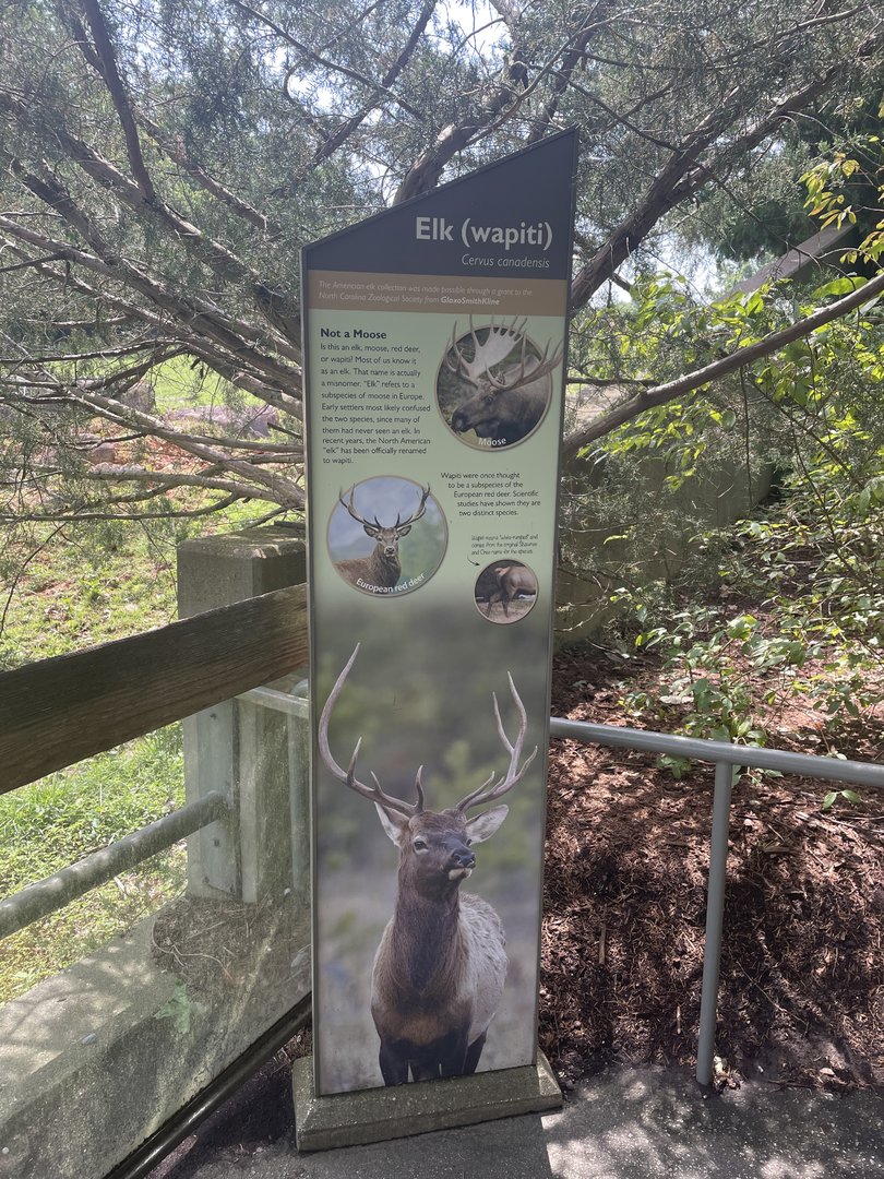 Elk (wapiti) Signage
