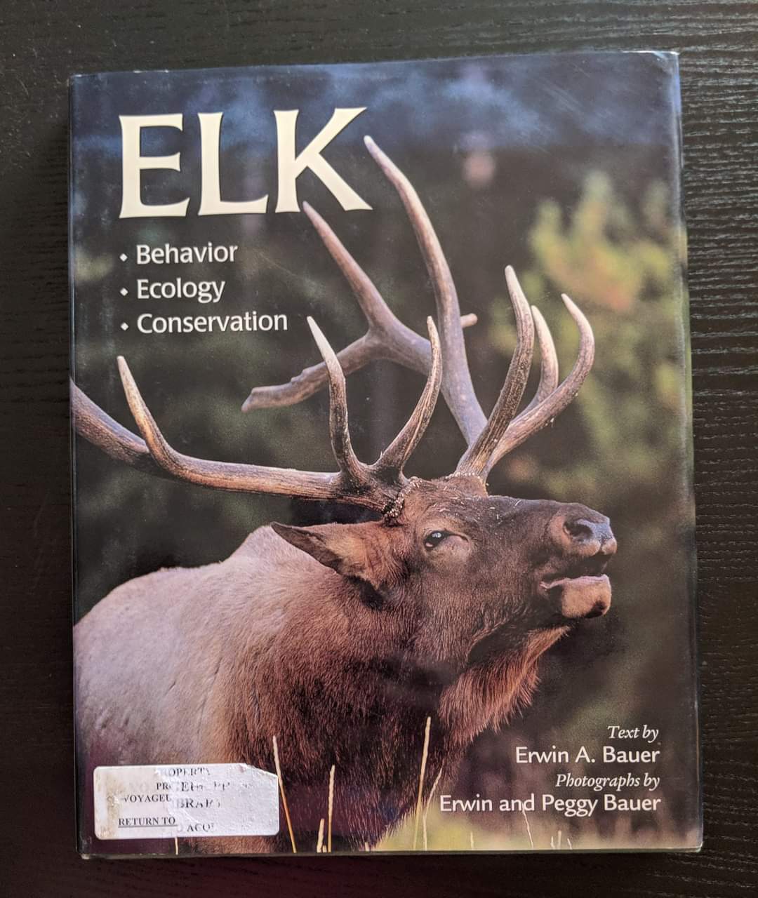 Elk