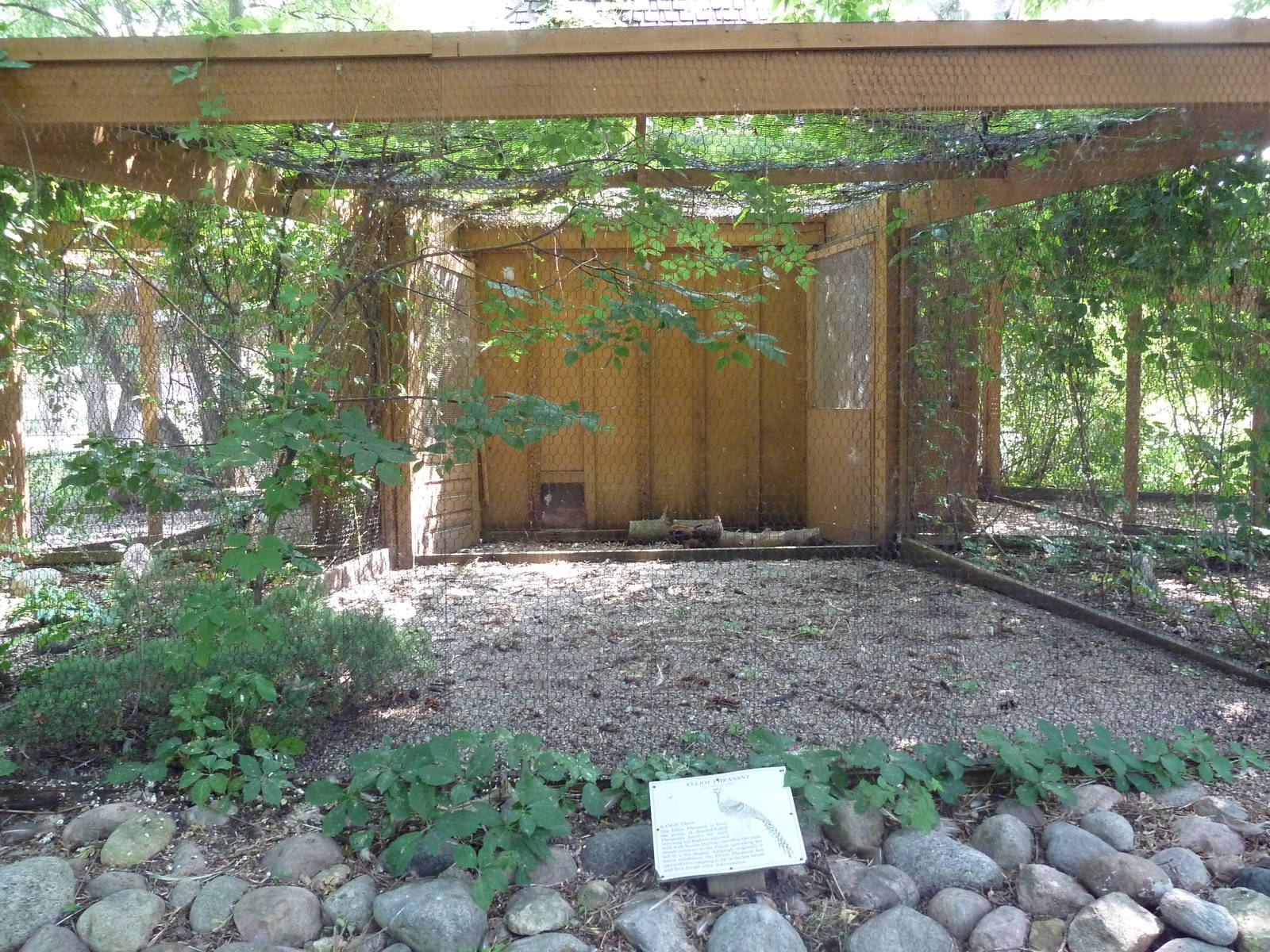 Elliot Pheasant Exhibit