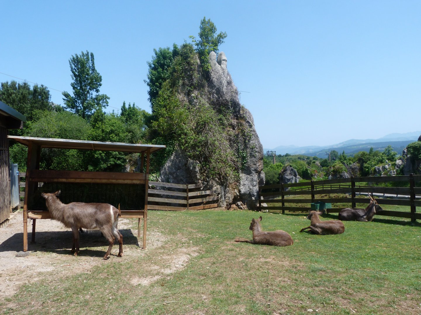 Ellipsen waterbuck holding pen -Parque de la Naturaleza de Cabárceno (2025)