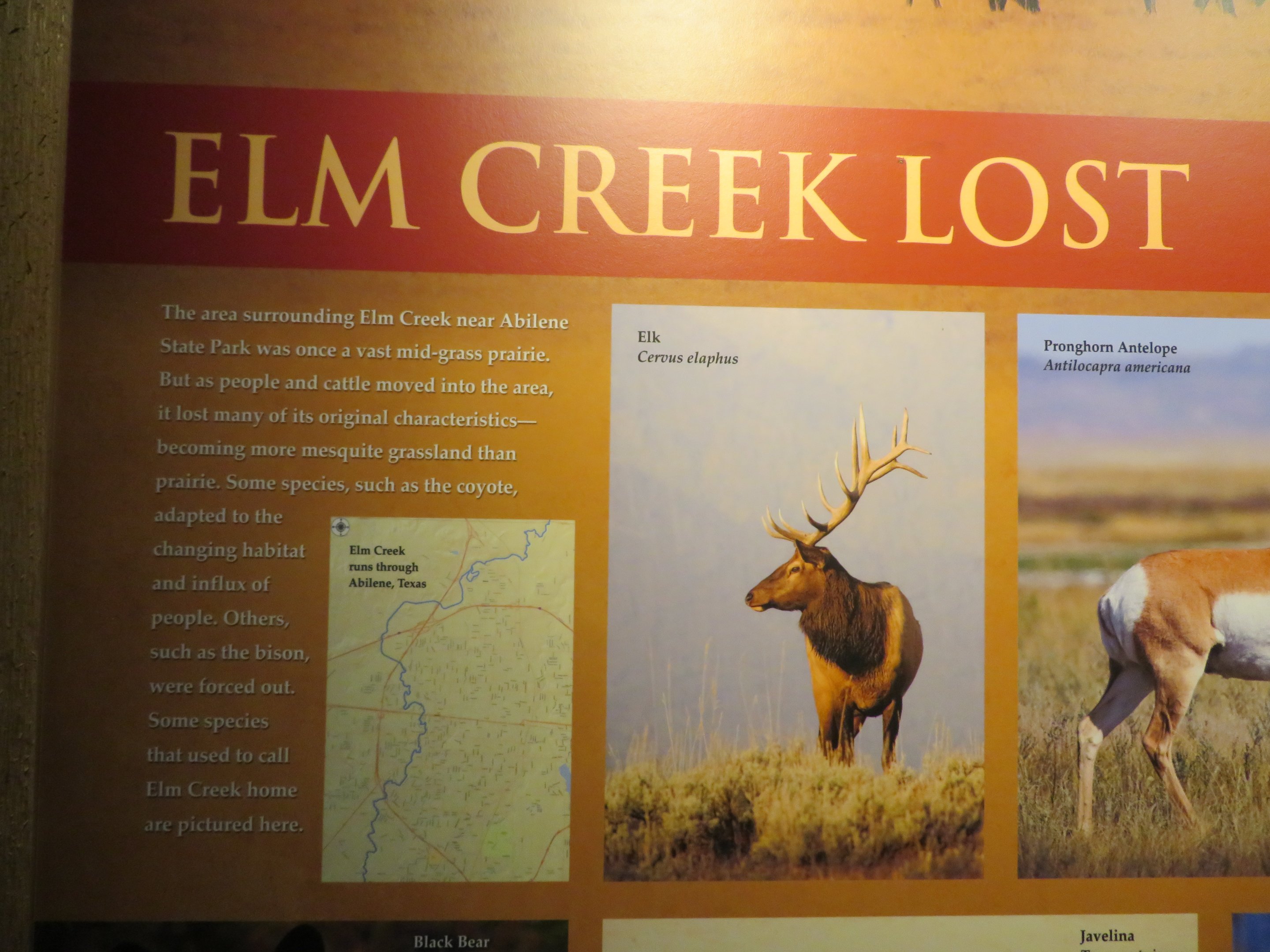 Elm Creek Signage