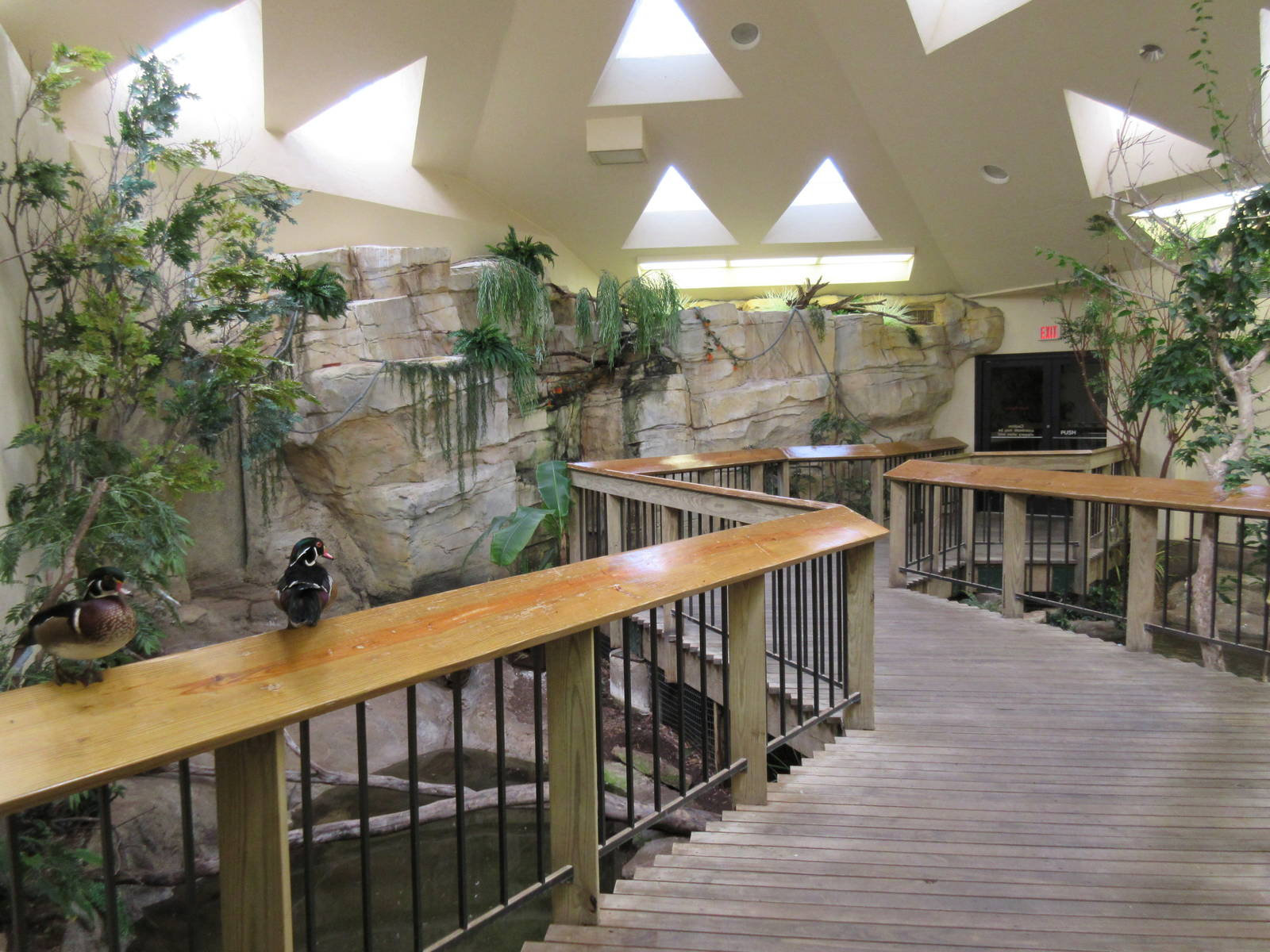 Elm Street Backyard Building - Walk-Through Aviary