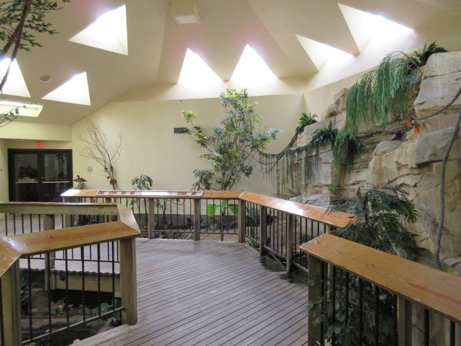 Elm Street Backyard Building - Walk-Through Aviary