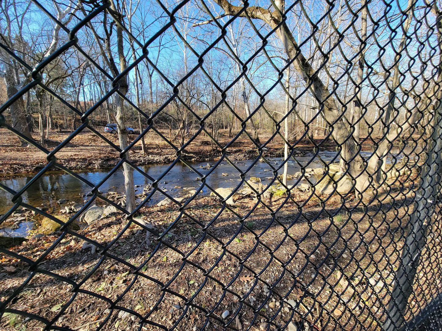 Elmwood Park - All of the trees being knocked down for development of the zoo's master plan