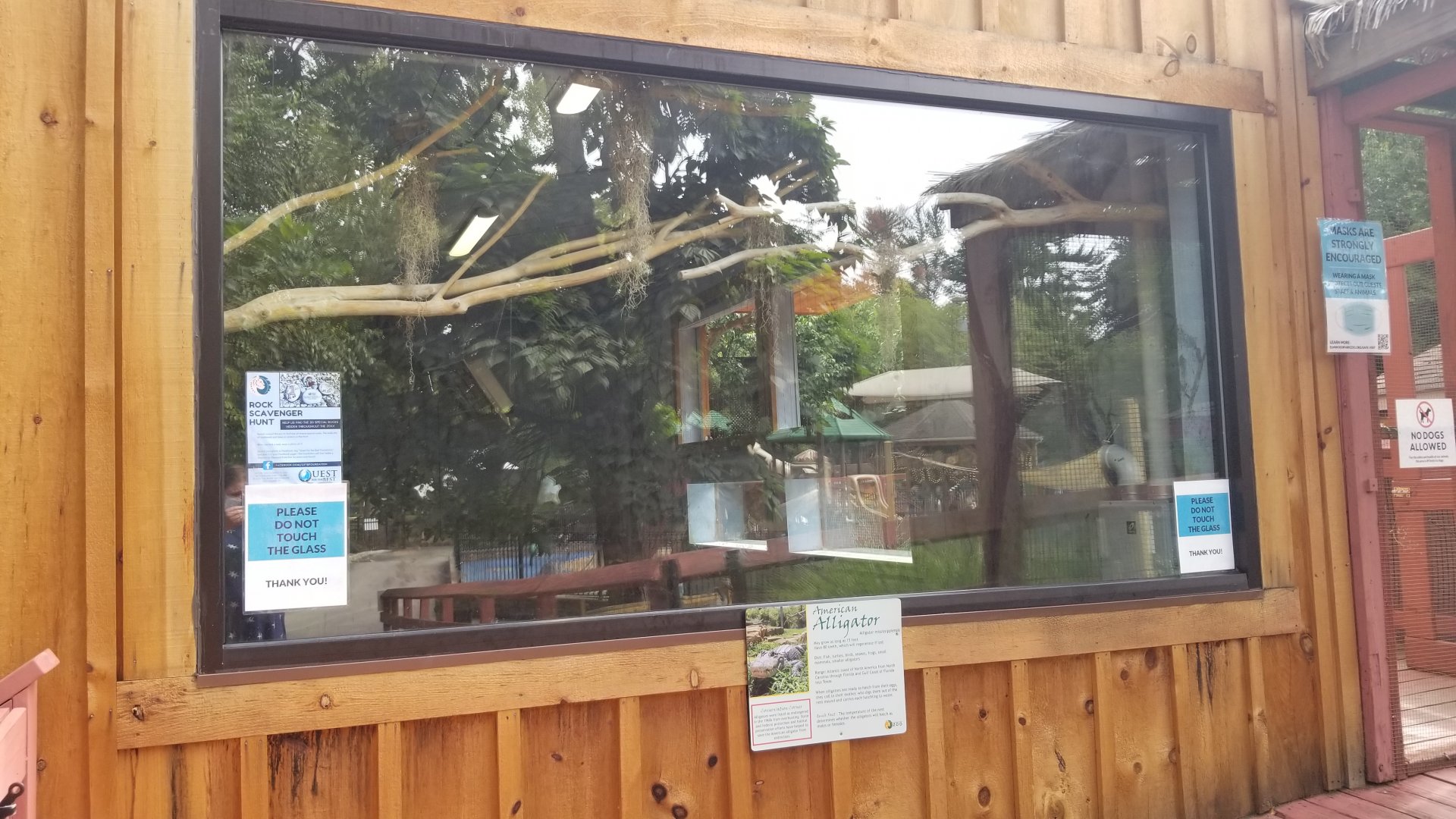 Elmwood Park - Alligator front window