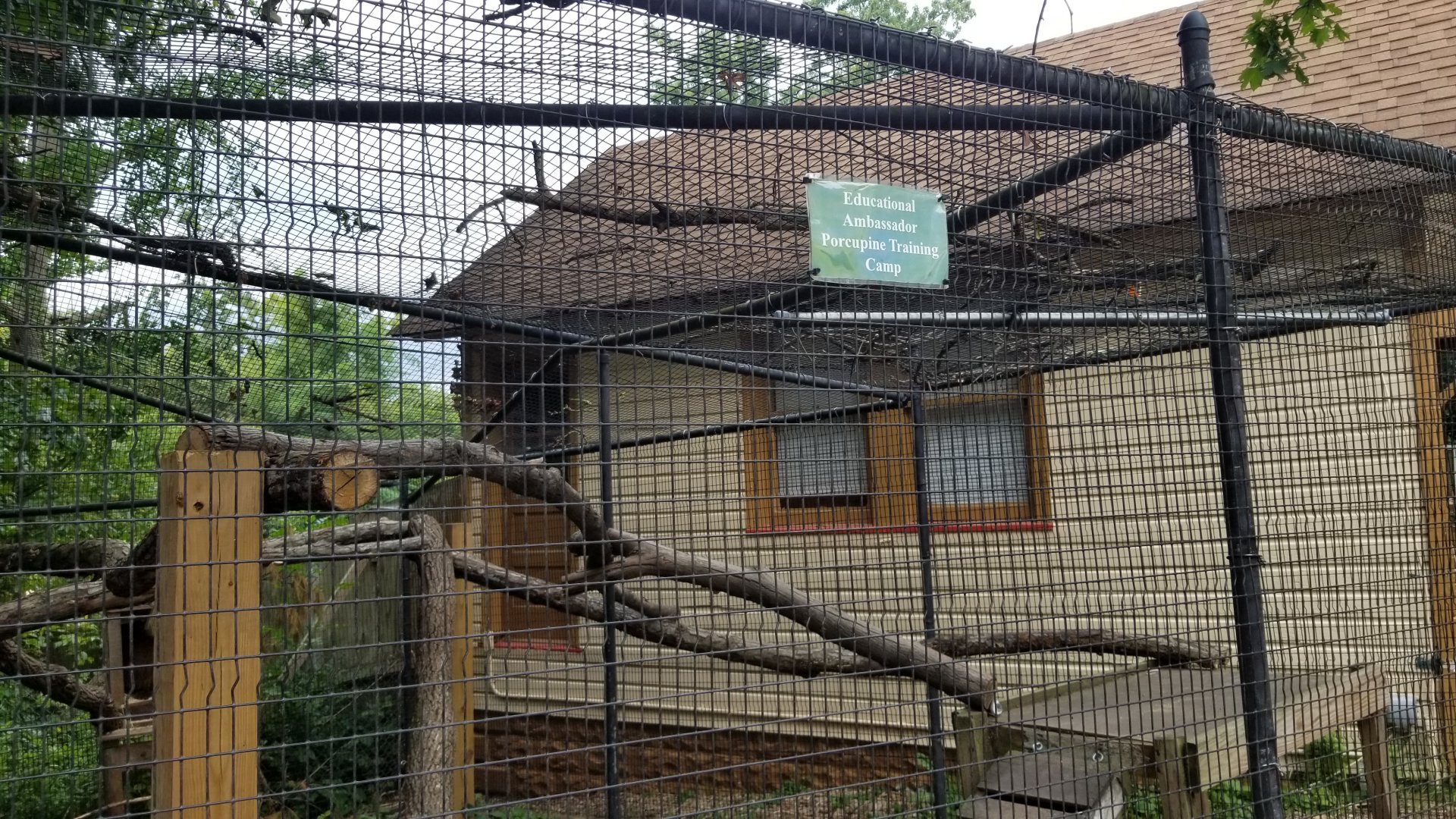 Elmwood Park - Ambassador porcupines