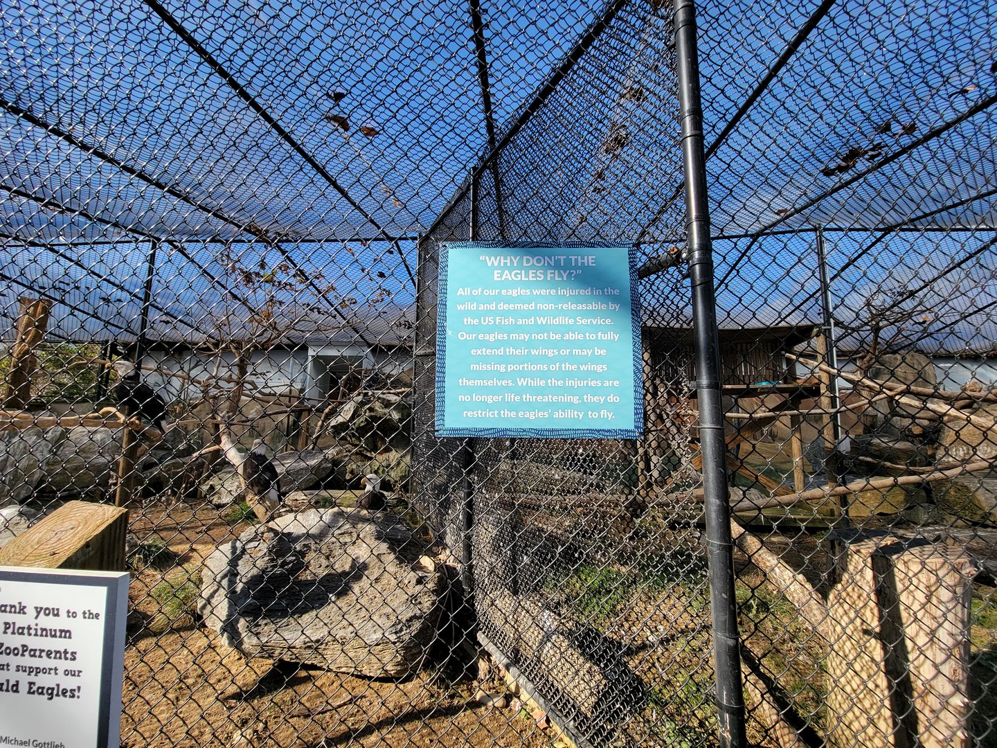 Elmwood Park - Bald eagles, Why don't the eagles fly?