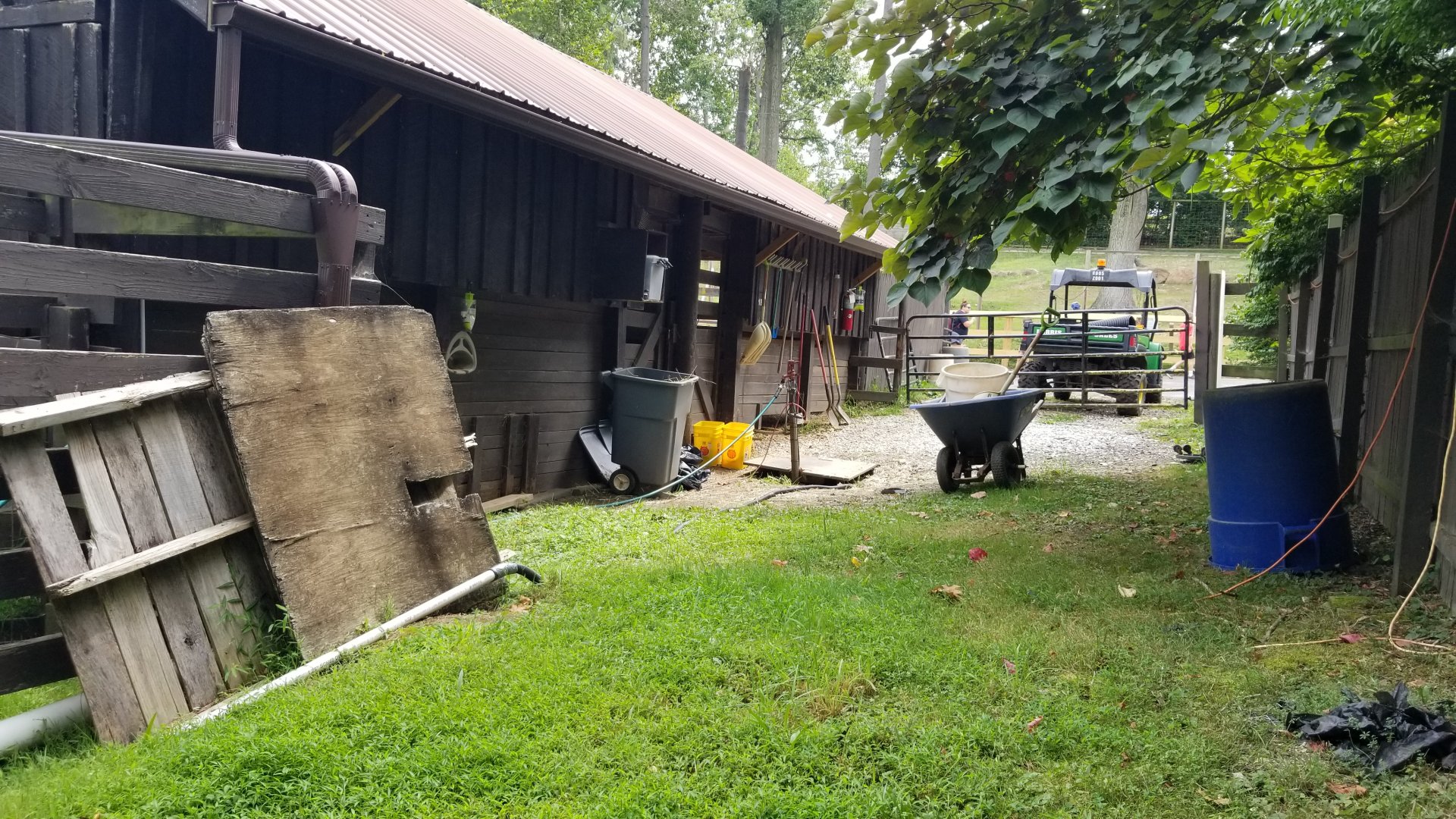 Elmwood Park - Behind bison barn