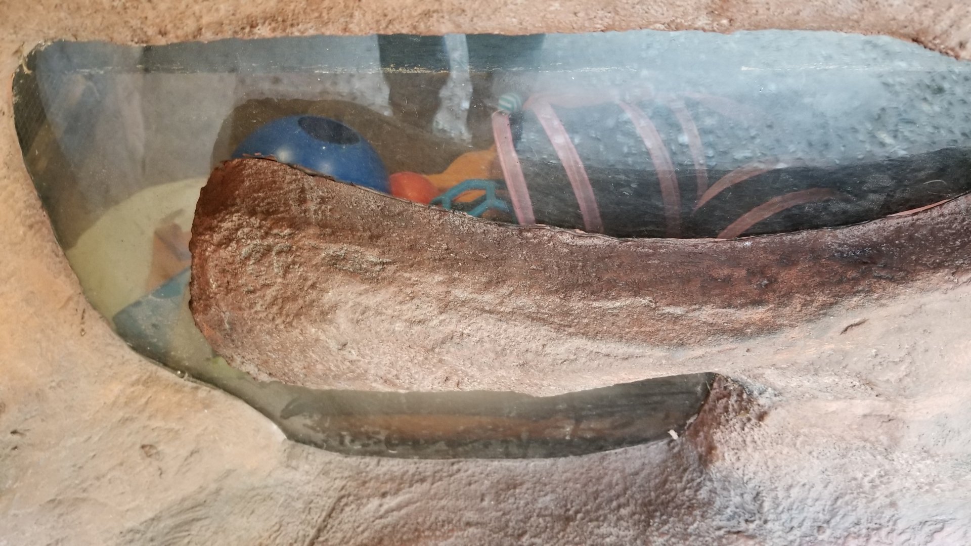 Elmwood Park - BFF, a little crowded