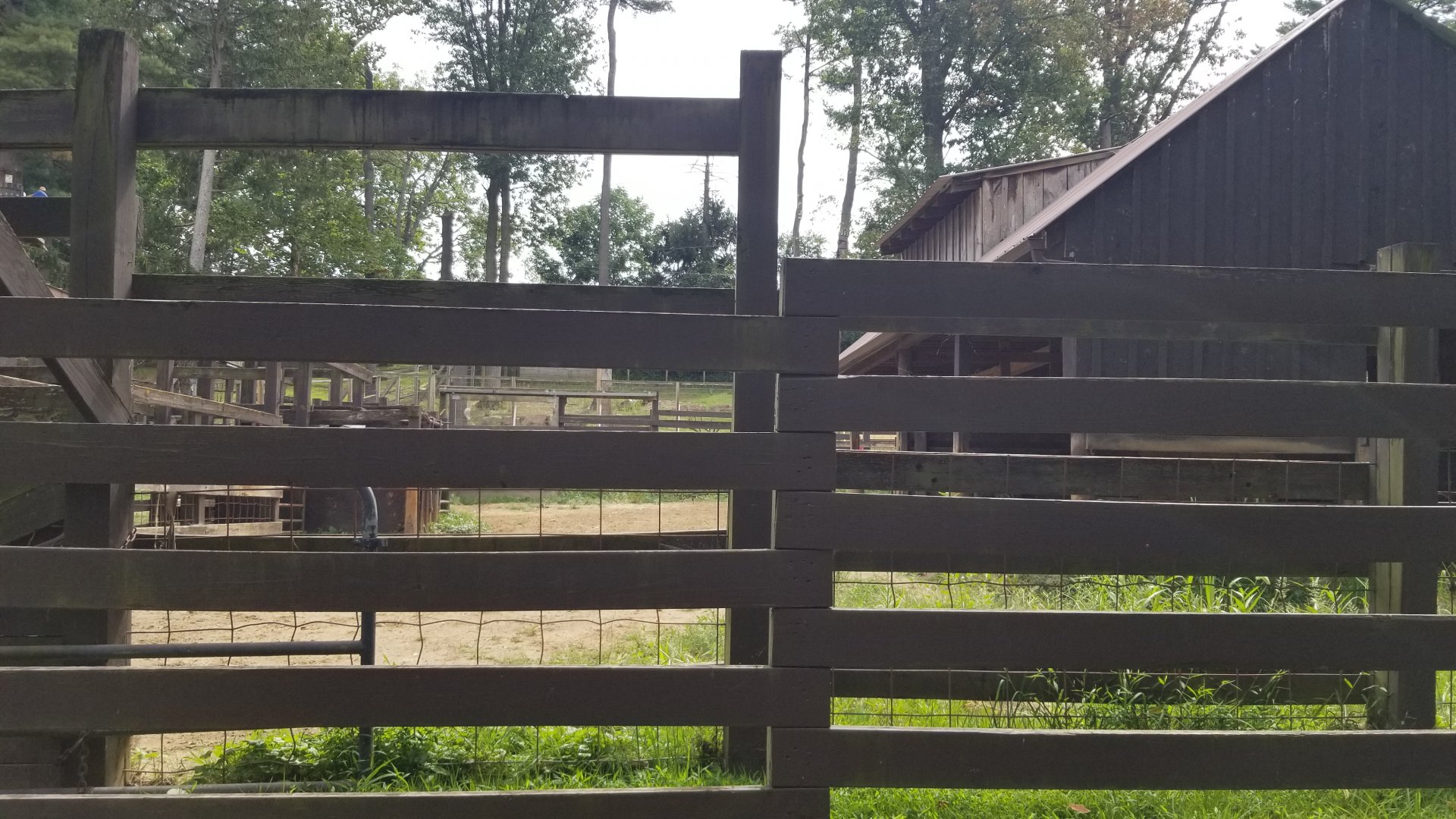 Elmwood Park - Bison off-exhibit area